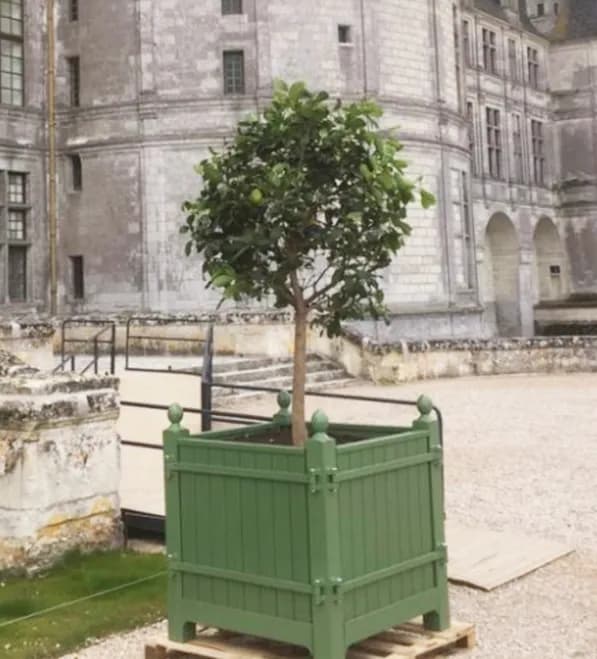 Felinar de epocă și jardinieră pentru portocali din fontă