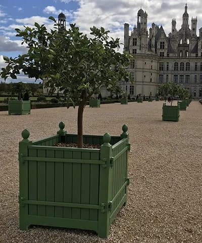 Jardinière pentru portocal Castellum