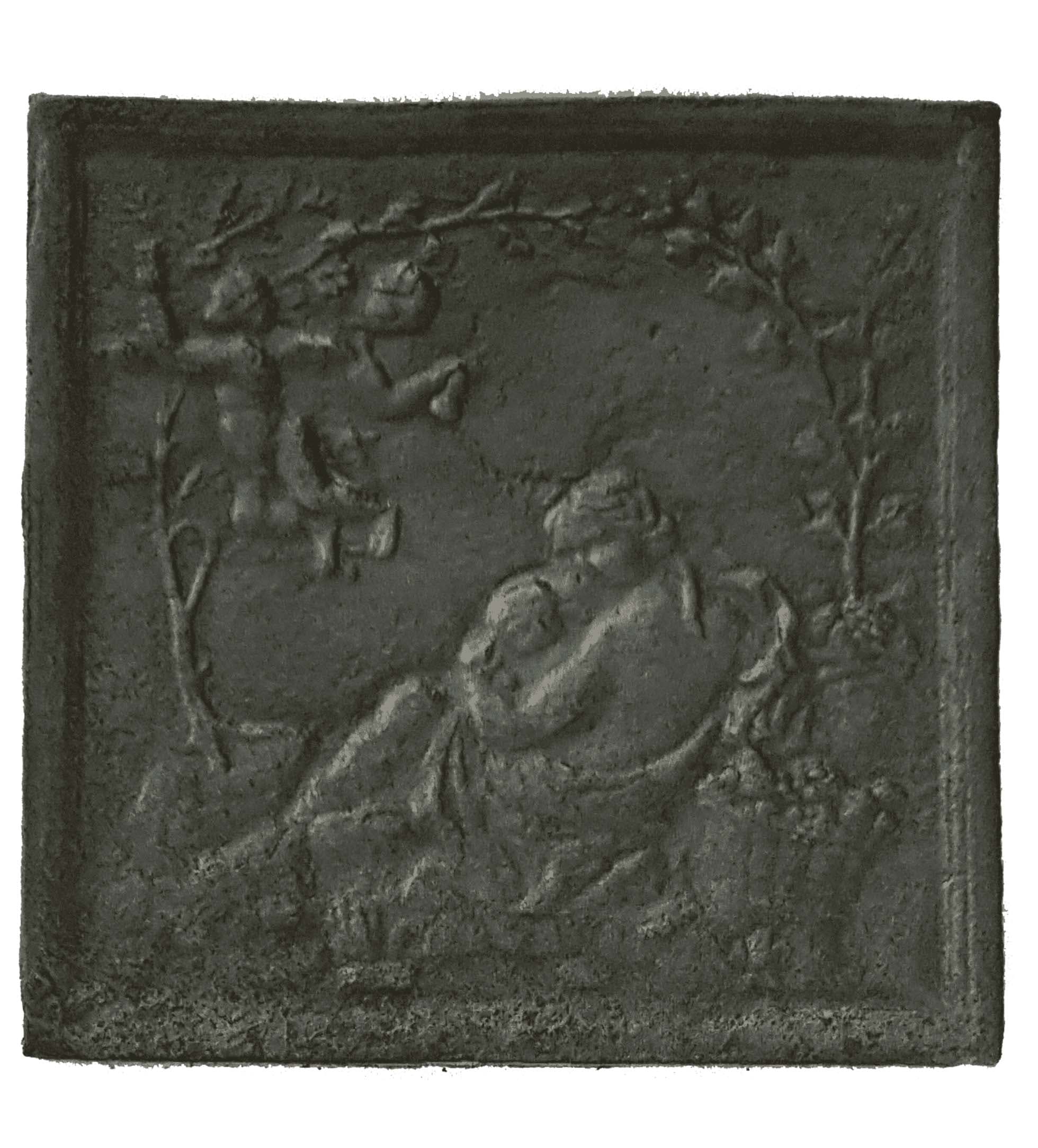Placă de coș - VR 31